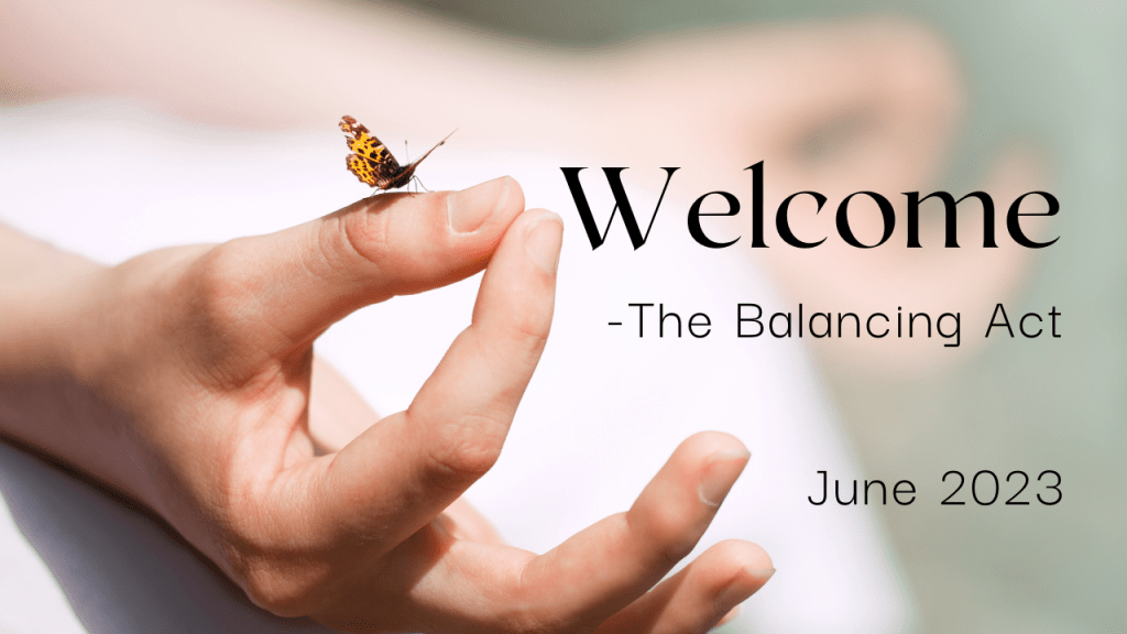 Welcome – the balancing&nbsp;act